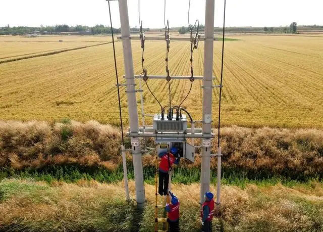 配電箱助力“電力?！报D農(nóng)民有了“電力?！碑a(chǎn)業(yè)發(fā)展質(zhì)效